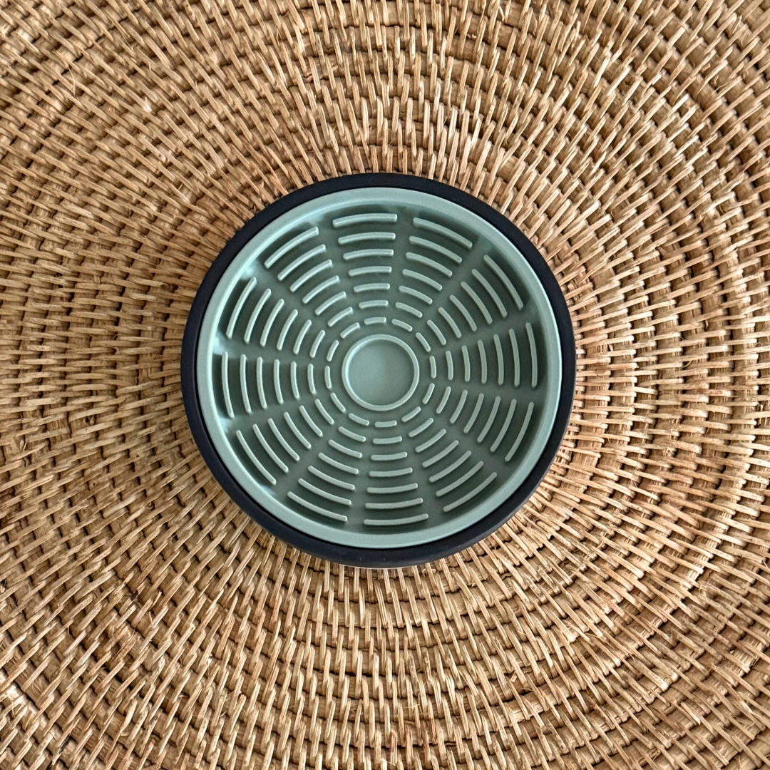 A Complete Guide: How to Use a Lick Mat for Enrichment for Dogs and Cats
