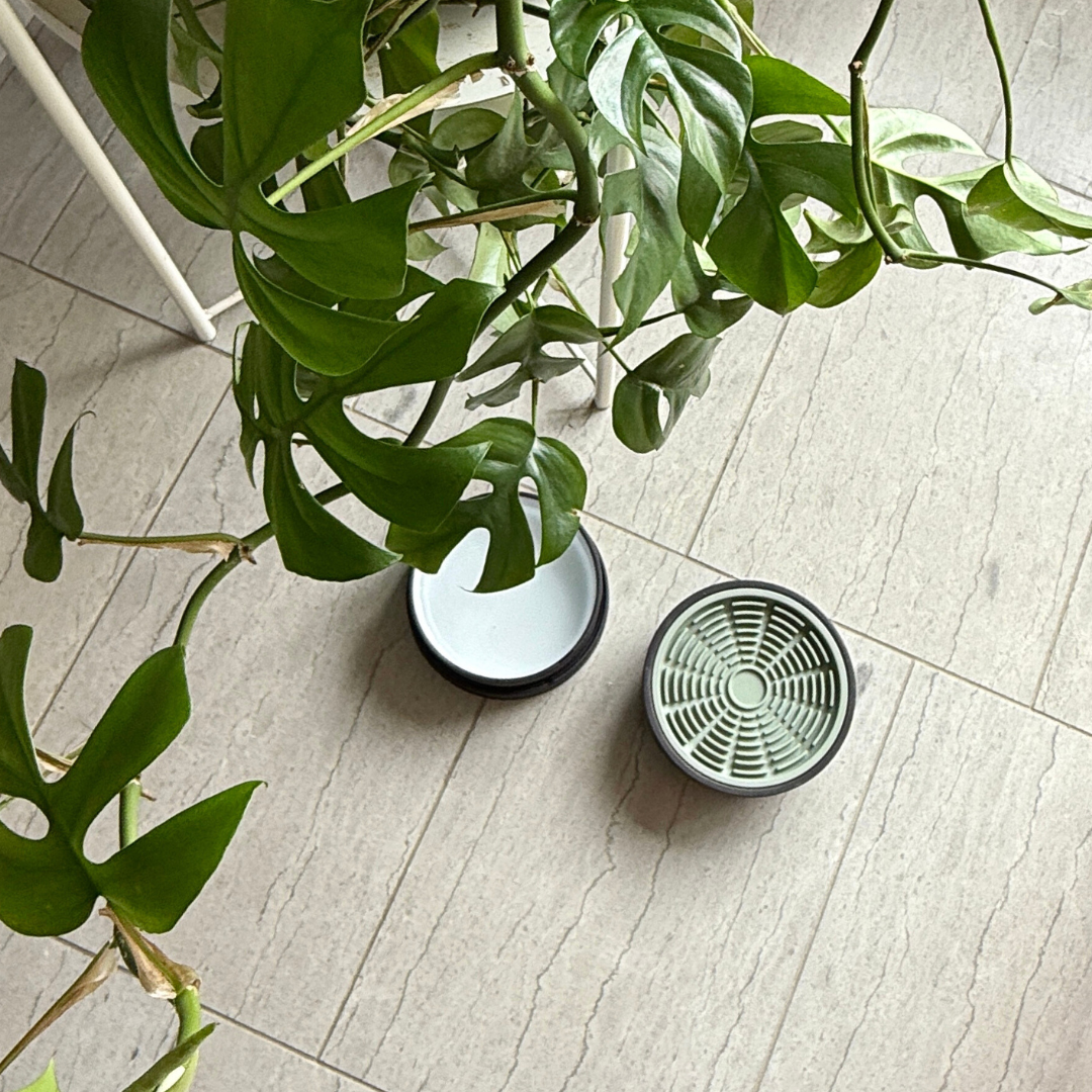 green silicon lick mat in a black porcelain pet dish on grey stone floor with leafy monstera plant
