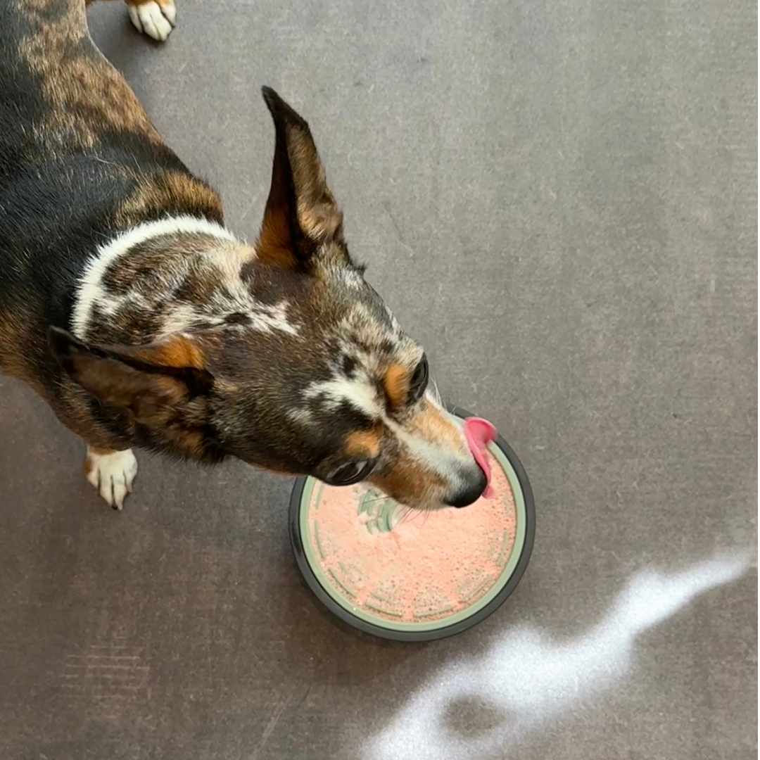 My Lick Mat Recipes for Dogs