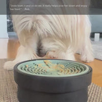A white terrier enjoys a treat from a green silicone lick mat nested in a minimalist black porcelain dish